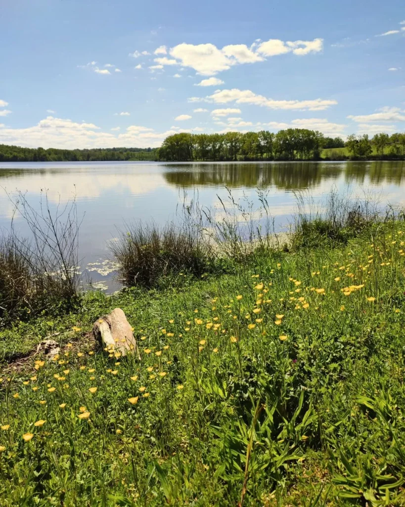 L Escale Sud Gironde La Gironde : vins canoë et randonnées