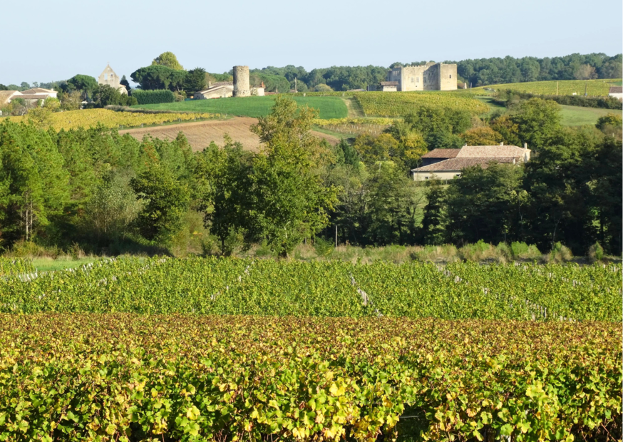 L Escale Sud Gironde La Gironde : vins canoë et randonnées