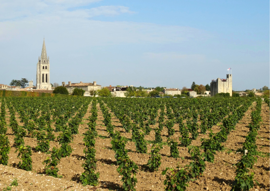 L Escale Sud Gironde La Gironde : vins canoë et randonnées