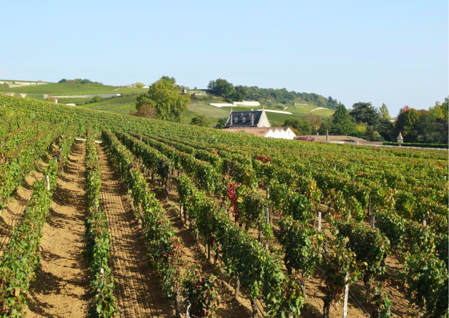 L Escale Sud Gironde La Gironde : vins canoë et randonnées